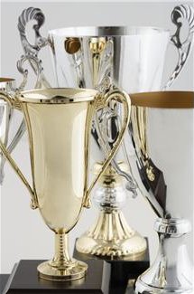 trophies.jpg - 19251 Bytes